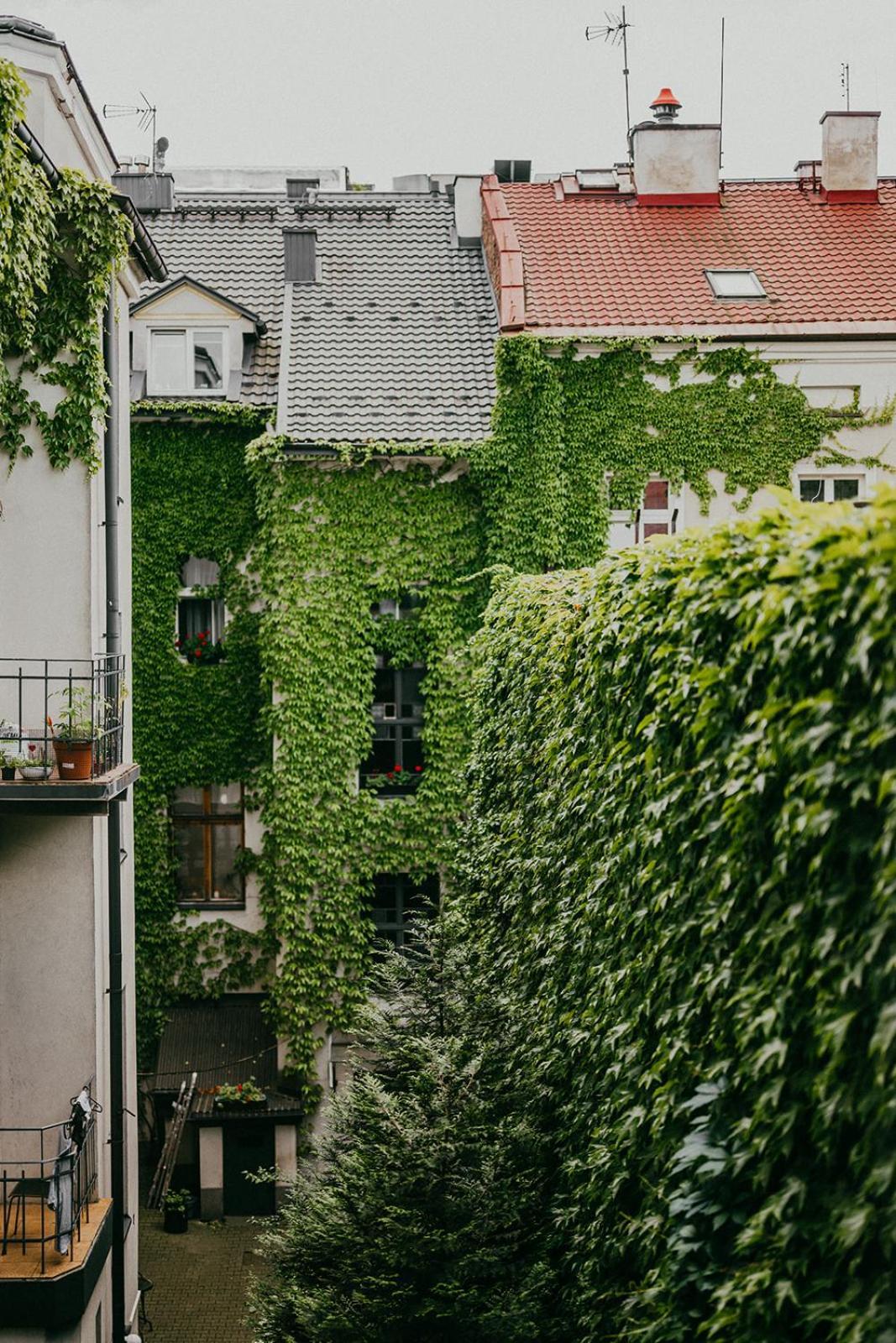 Antique Apartments Old Town Cracovia Exterior foto